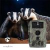 Nedis WCAM180GN vadkamera kamera, 4K - 10fps | 50 MPixel | 5 MPixeles CMOS | IP65, látószög: 60°, mozgásérzékelő