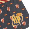 Harry Potter Lion gyerek boxeralsó 2 darab/csomag 6 - 8 év / 116 - 128 cm
