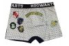 Harry Potter Hogwarts House gyerek boxeralsó 2 darab/csomag 6 - 8 év / 116 - 128 cm