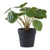 Pilea műnövény 28 cm