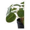 Pilea műnövény 28 cm