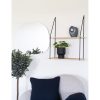 Pilea műnövény 28 cm