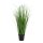Poa fű műnövény 68 cm