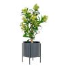 Skimmia fa műnövény 75 cm
