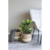 Skimmia fa műnövény 75 cm