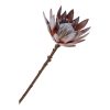 Protea művirág csokor 74 cm